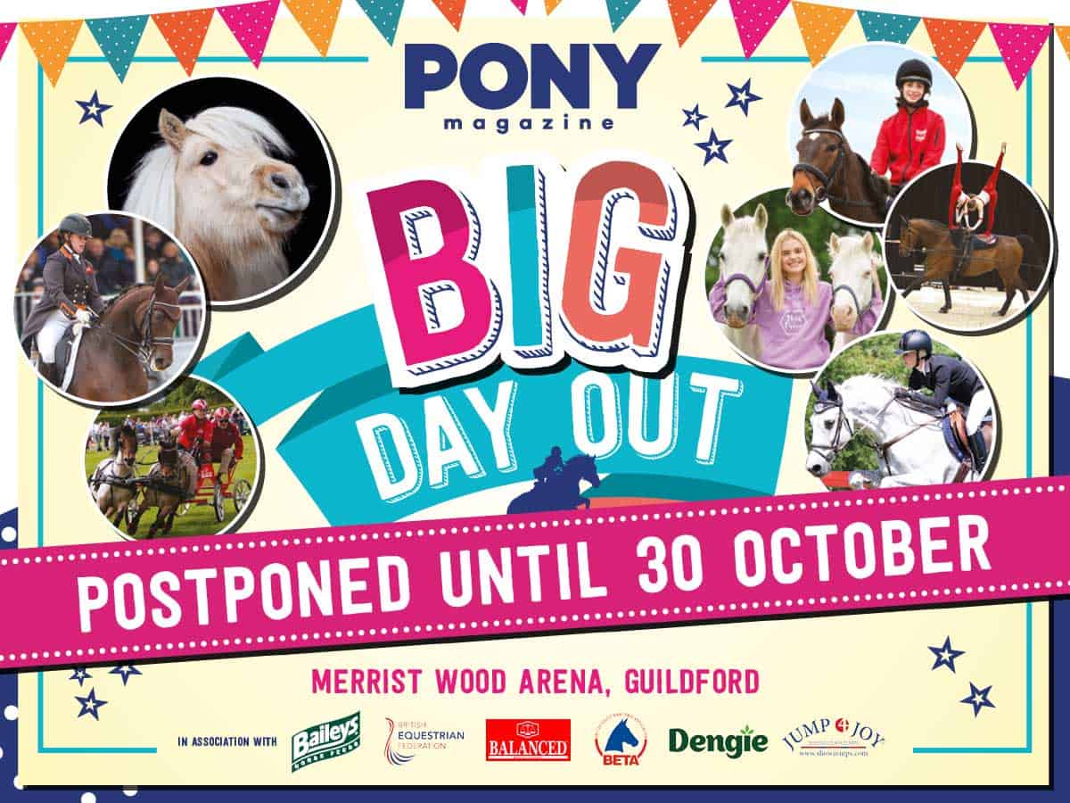 PONY Mag's Big Day Out Pony Magazine