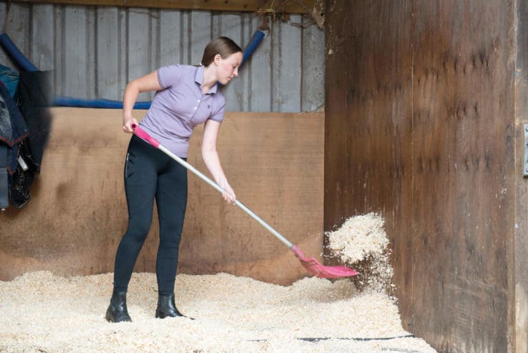 Mucking out pony's stable