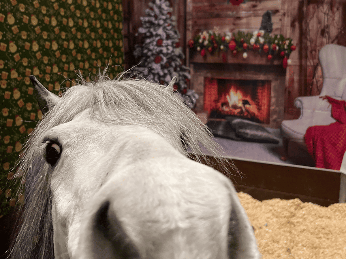 Equestrian Gift Ideas For Christmas - Budget Equestrian